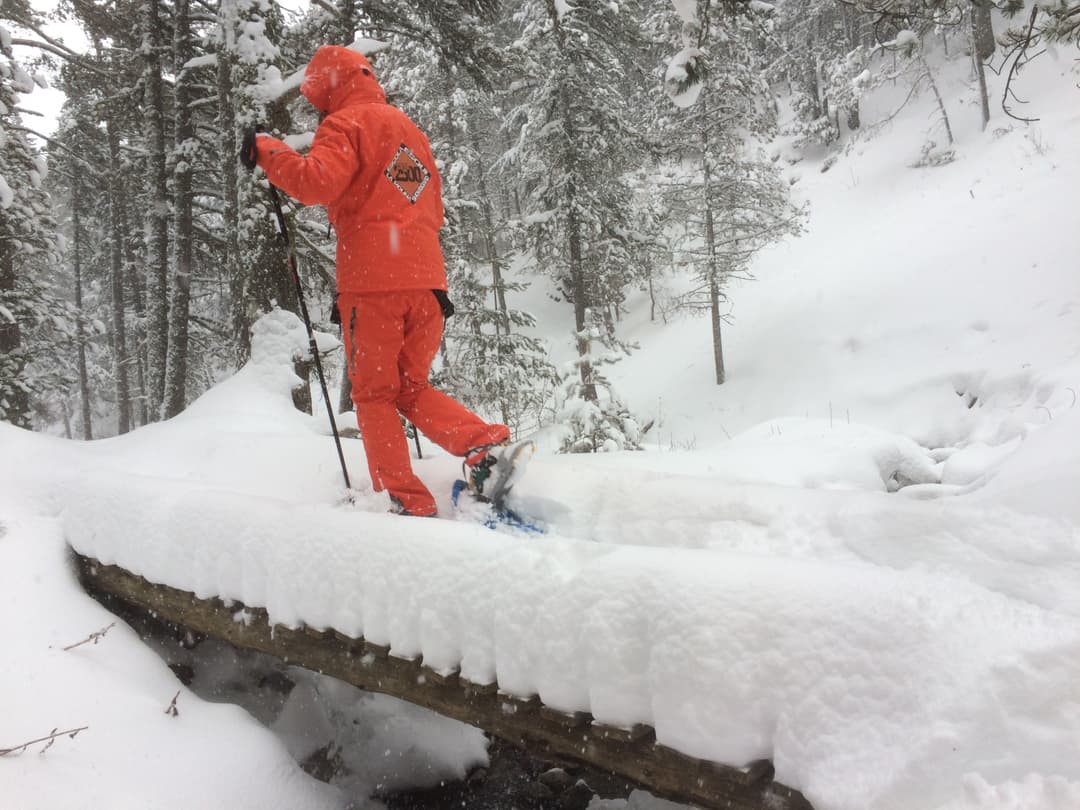 GRUPAL RAQUETES + LLOGUER MATERIAL